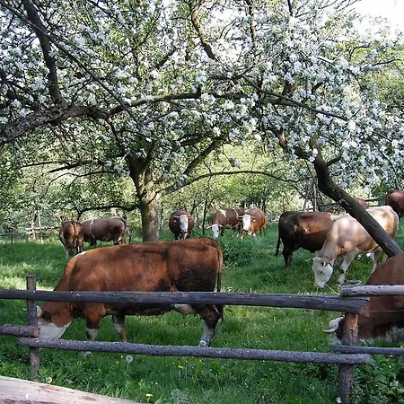 Konukevi Bauernhof Schrammel Bad Schönau