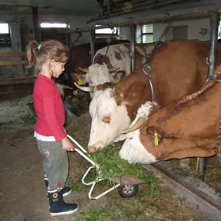 Bauernhof Schrammel * Bad Schönau