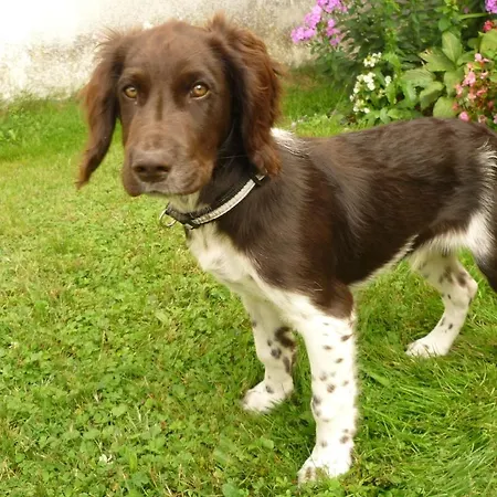 Bauernhof Schrammel *
